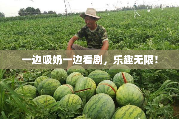 一边吸奶一边看剧，乐趣无限！