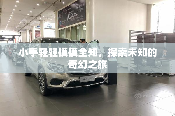小手轻轻摸摸全知，探索未知的奇幻之旅