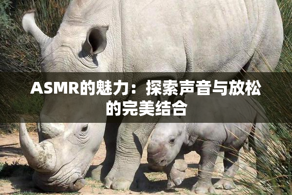 ASMR的魅力：探索声音与放松的完美结合
