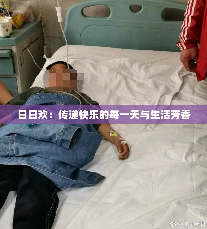 日日欢：传递快乐的每一天与生活芳香