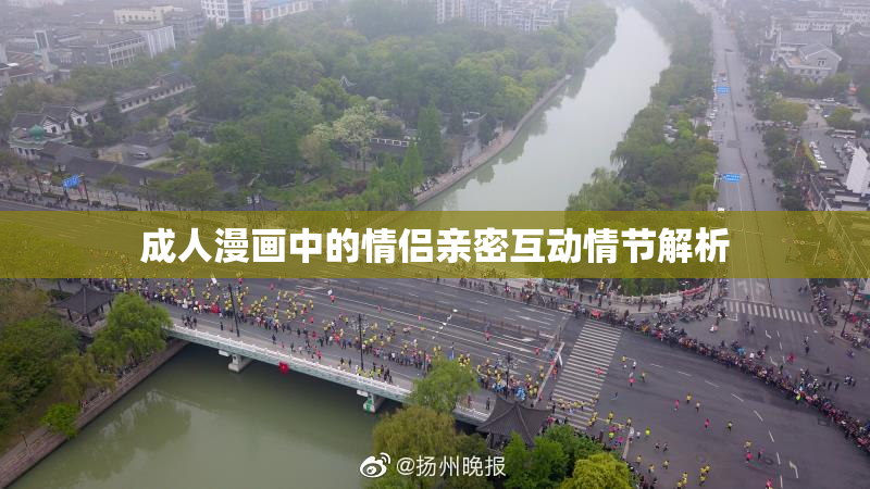 成人漫画中的情侣亲密互动情节解析