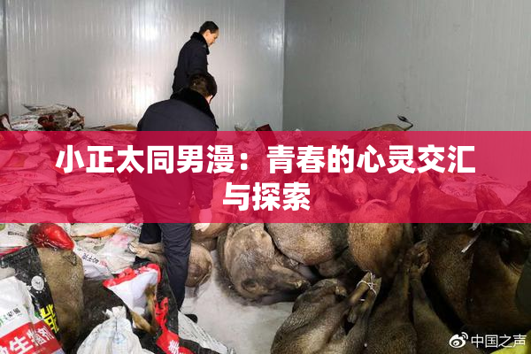 小正太同男漫：青春的心灵交汇与探索