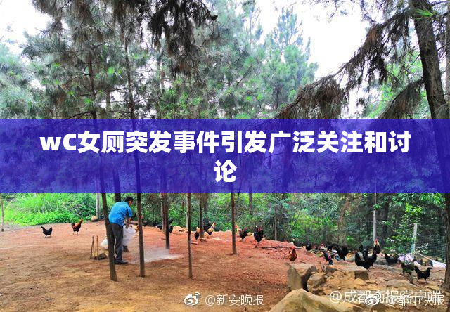 wC女厕突发事件引发广泛关注和讨论