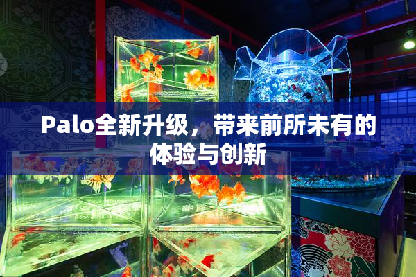 Palo全新升级，带来前所未有的体验与创新