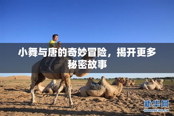小舞与唐的奇妙冒险，揭开更多秘密故事