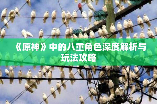 《原神》中的八重角色深度解析与玩法攻略