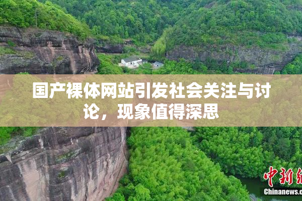 国产裸体网站引发社会关注与讨论，现象值得深思