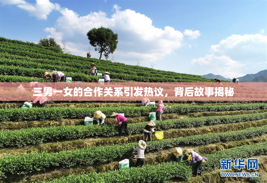 三男一女的合作关系引发热议，背后故事揭秘