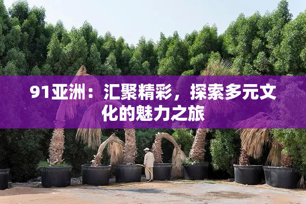 91亚洲：汇聚精彩，探索多元文化的魅力之旅