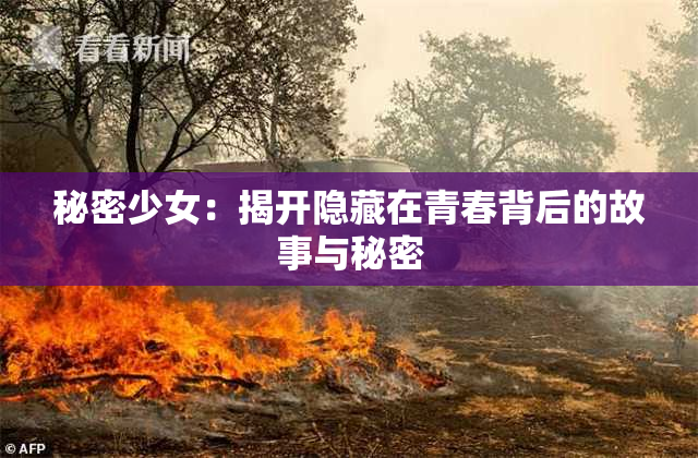 秘密少女：揭开隐藏在青春背后的故事与秘密