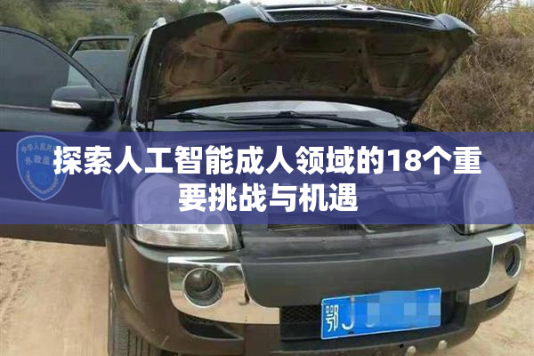 探索人工智能成人领域的18个重要挑战与机遇