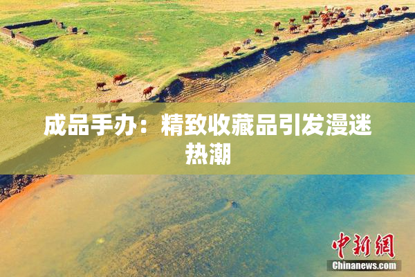 成品手办：精致收藏品引发漫迷热潮