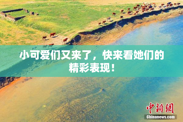 小可爱们又来了，快来看她们的精彩表现！