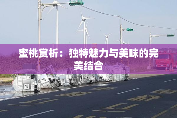 蜜桃赏析：独特魅力与美味的完美结合