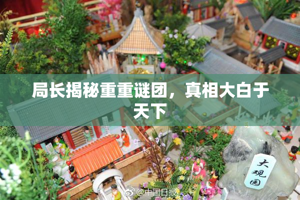 局长揭秘重重谜团，真相大白于天下