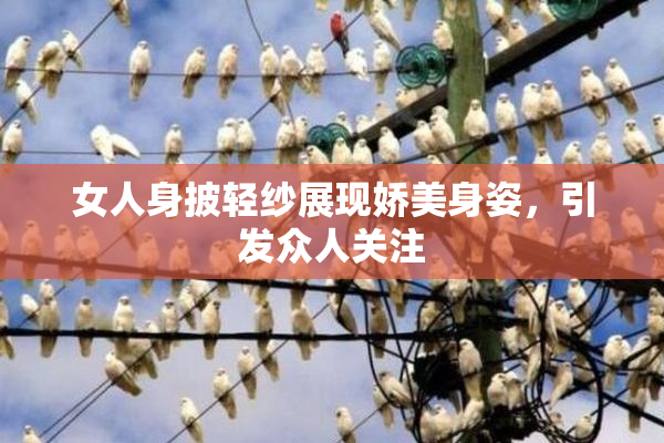 女人身披轻纱展现娇美身姿，引发众人关注