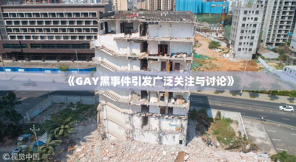 《GAY黑事件引发广泛关注与讨论》