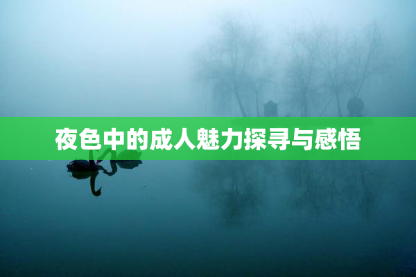 夜色中的成人魅力探寻与感悟