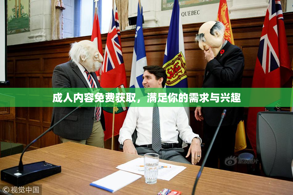 成人内容免费获取，满足你的需求与兴趣
