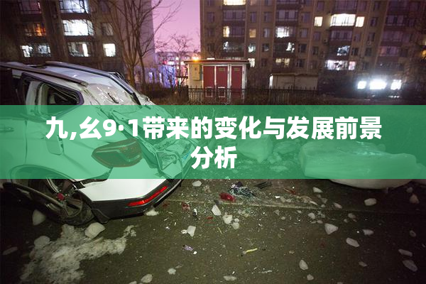 九,幺9·1带来的变化与发展前景分析