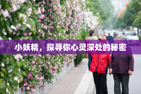 小妖精，探寻你心灵深处的秘密