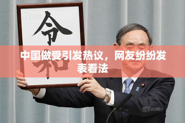 中国做受引发热议，网友纷纷发表看法