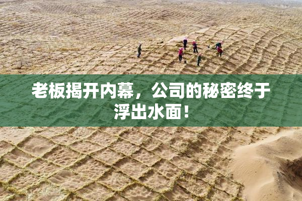 老板揭开内幕，公司的秘密终于浮出水面！