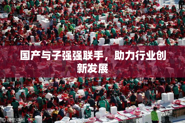 国产与子强强联手，助力行业创新发展