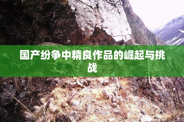 国产纷争中精良作品的崛起与挑战