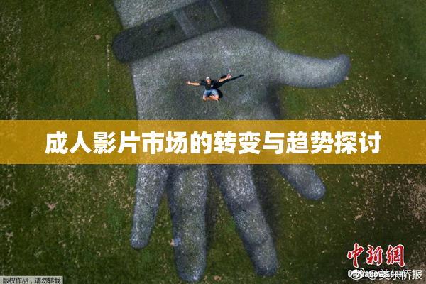 成人影片市场的转变与趋势探讨