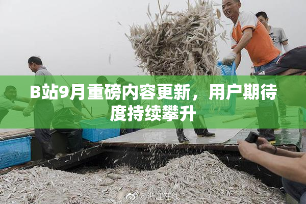 B站9月重磅内容更新，用户期待度持续攀升