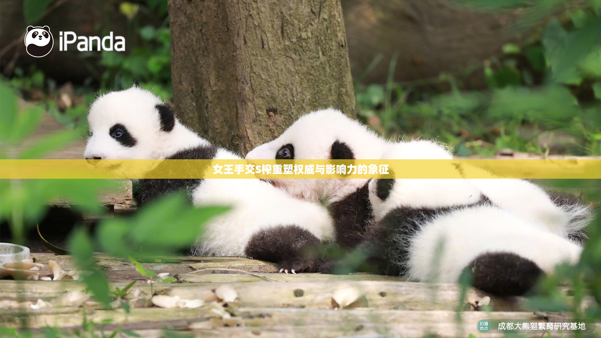 女王手交S榨重塑权威与影响力的象征