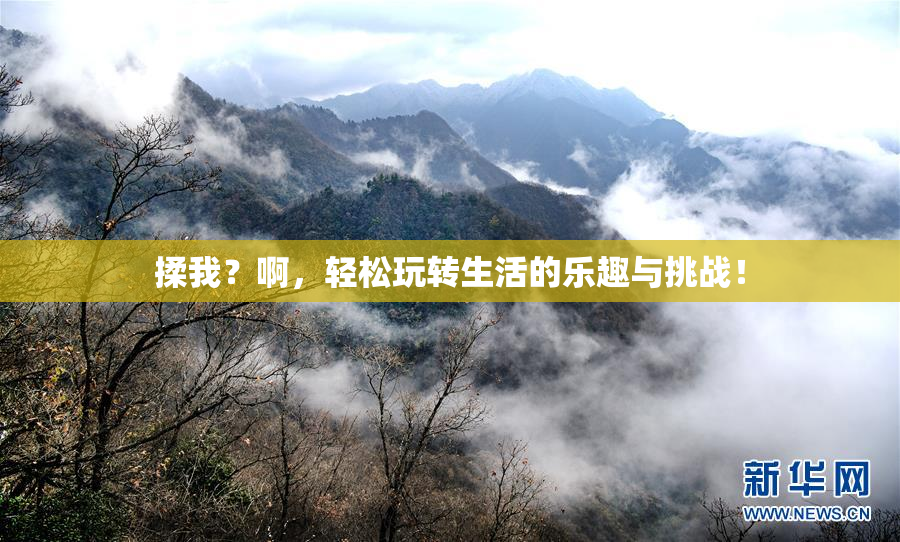 揉我？啊，轻松玩转生活的乐趣与挑战！