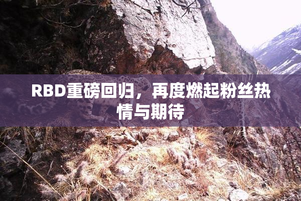 RBD重磅回归，再度燃起粉丝热情与期待