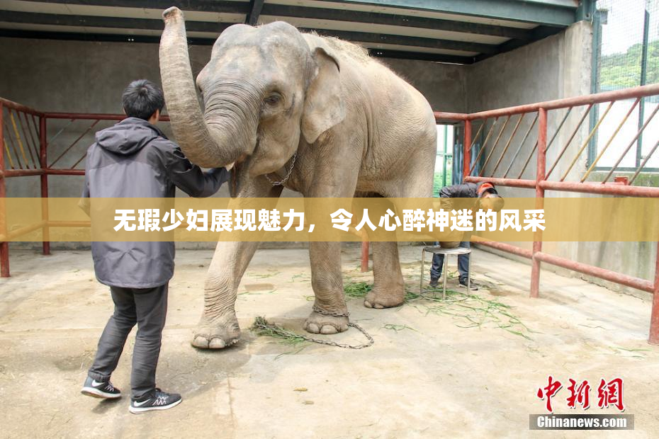 无瑕少妇展现魅力，令人心醉神迷的风采