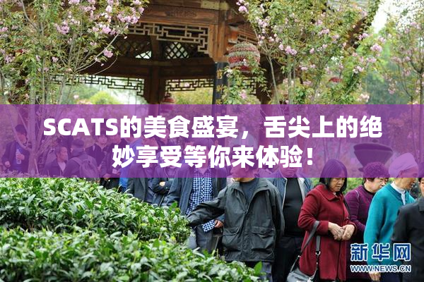 SCATS的美食盛宴，舌尖上的绝妙享受等你来体验！