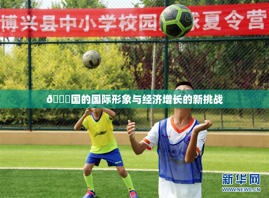 🔞国的国际形象与经济增长的新挑战