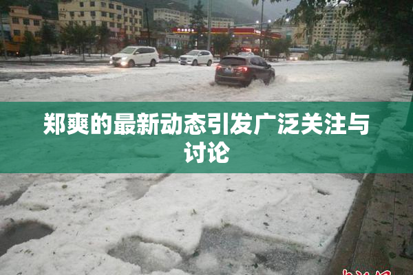 郑爽的最新动态引发广泛关注与讨论