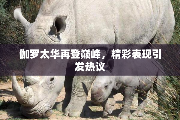 伽罗太华再登巅峰，精彩表现引发热议