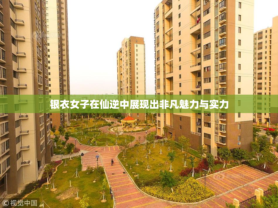 银衣女子在仙逆中展现出非凡魅力与实力