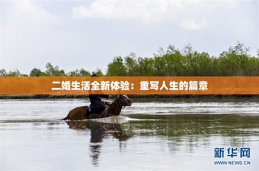 二婚生活全新体验：重写人生的篇章