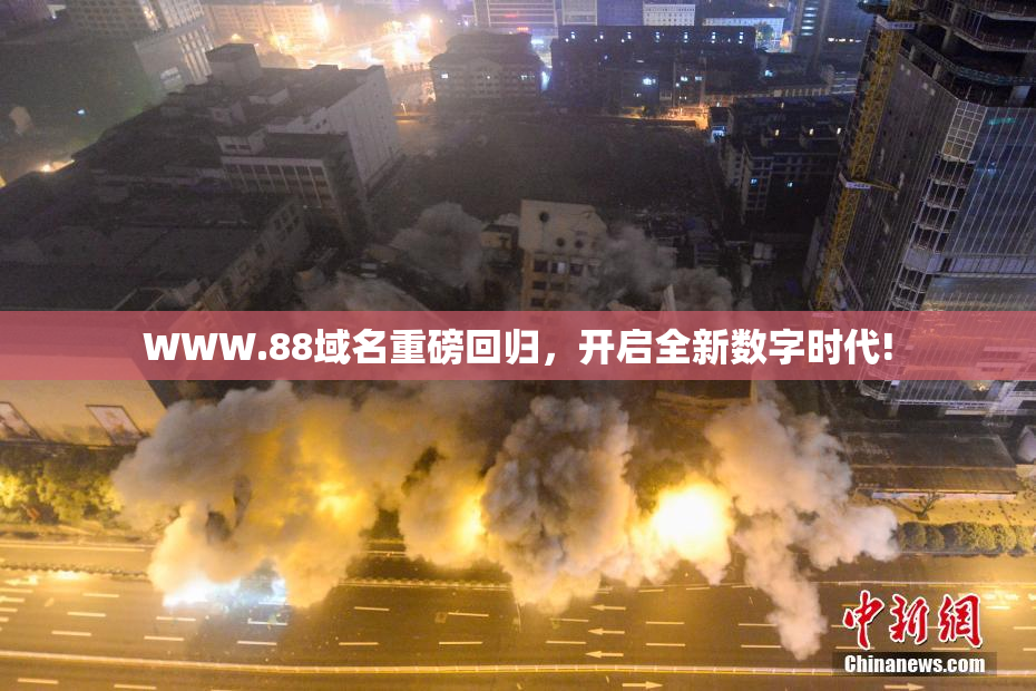 WWW.88域名重磅回归，开启全新数字时代!