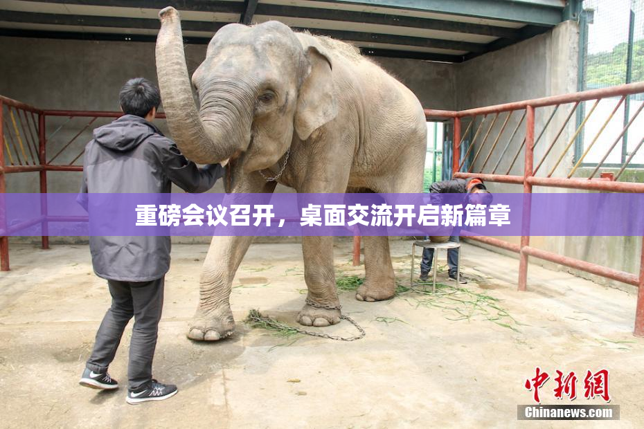 重磅会议召开，桌面交流开启新篇章