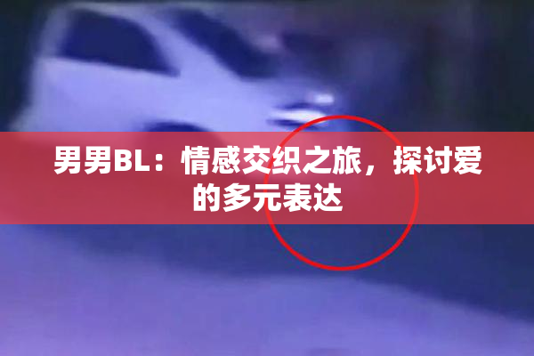 男男BL：情感交织之旅，探讨爱的多元表达