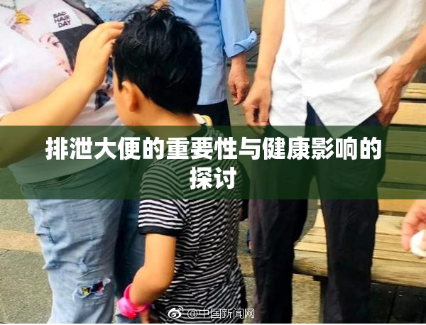排泄大便的重要性与健康影响的探讨