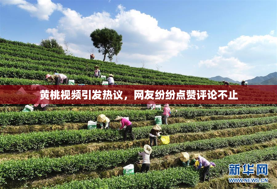 黄桃视频引发热议，网友纷纷点赞评论不止