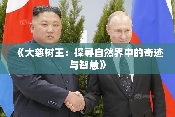 《大慈树王：探寻自然界中的奇迹与智慧》