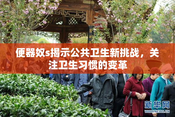 便器奴s揭示公共卫生新挑战，关注卫生习惯的变革