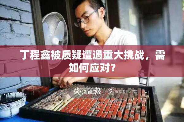 丁程鑫被质疑遭遇重大挑战，需如何应对？