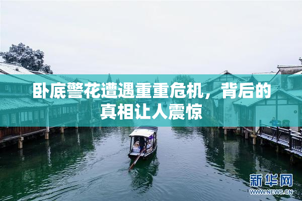 卧底警花遭遇重重危机，背后的真相让人震惊